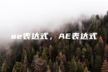 ae表达式，AE表达式 | ae插件合集