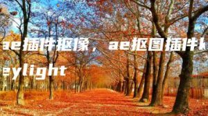 ae插件抠像，ae抠图插件keylight | ae插件合集