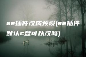 ae插件改成预设(ae插件默认c盘可以改吗) | ae插件合集