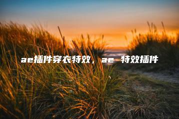 ae插件穿衣特效，ae 特效插件 | ae插件合集