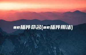 ae插件命名(ae插件用法) | ae插件合集