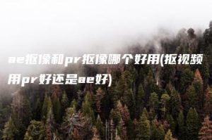 ae抠像和pr抠像哪个好用(抠视频用pr好还是ae好) | ae插件合集