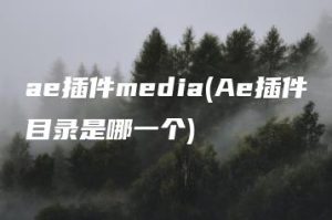 ae插件media(Ae插件目录是哪一个) | ae插件合集