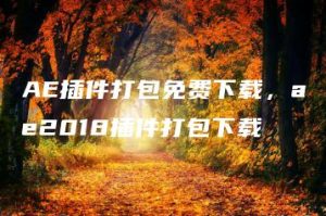 AE插件打包免费下载，ae2018插件打包下载 | ae插件合集