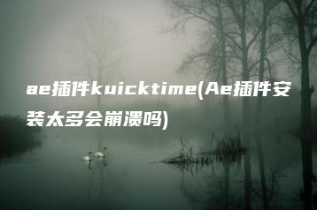 ae插件kuicktime(Ae插件安装太多会崩溃吗) | ae插件合集