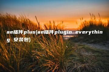 ae插件plus(ae插件plugin everything 安装包) | ae插件合集