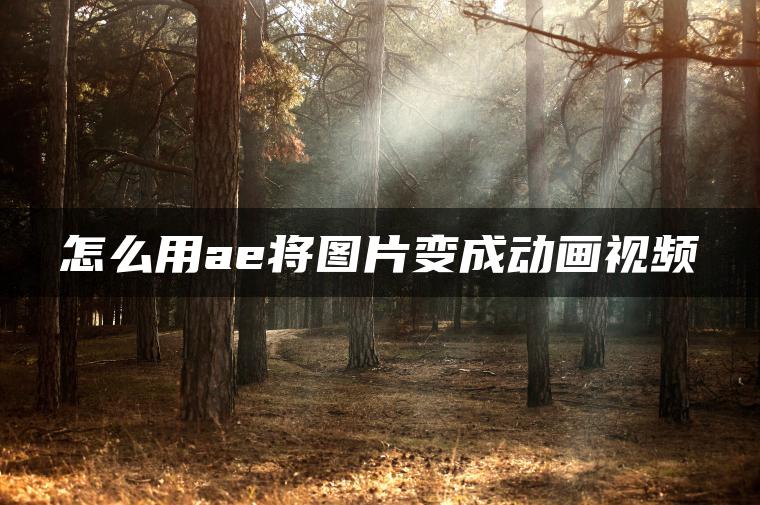 图片[1] | 怎么用ae将图片变成动画视频 | ae插件合集