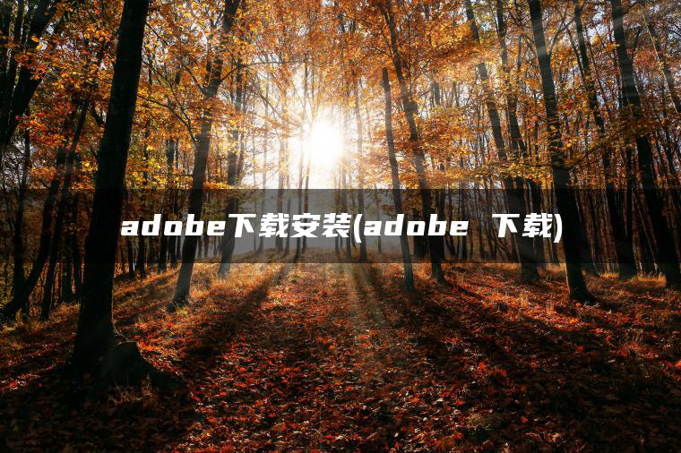 adobe下载安装(adobe 下载)