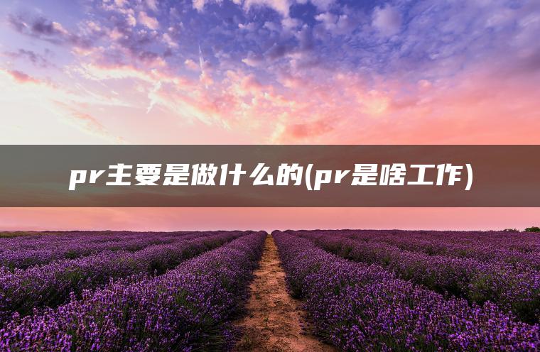 pr主要是做什么的(pr是啥工作)