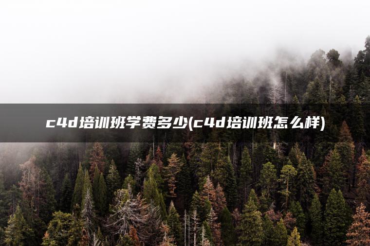 c4d培训班学费多少(c4d培训班怎么样)