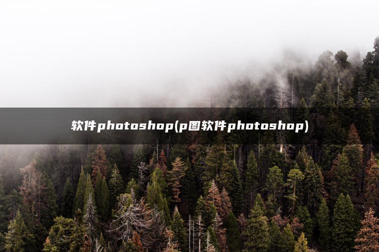 软件photoshop(p图软件photoshop)