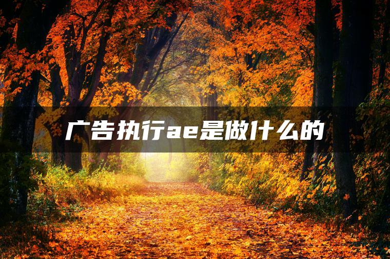 图片[1] | 广告执行ae是做什么的 | ae插件合集