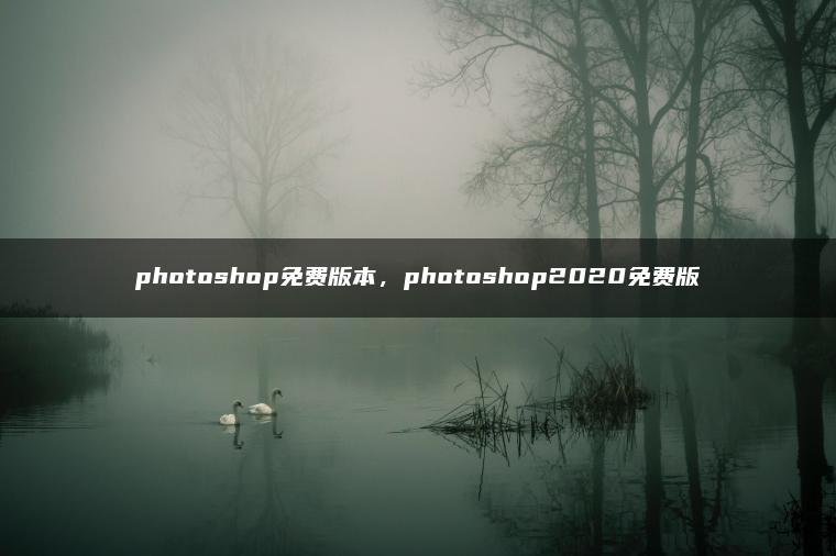 photoshop免费版本，photoshop2020免费版