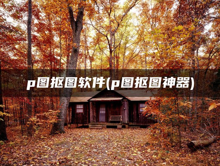 p图抠图软件(p图抠图神器)