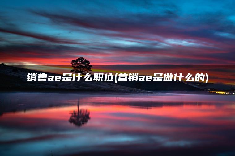 销售ae是什么职位(营销ae是做什么的)