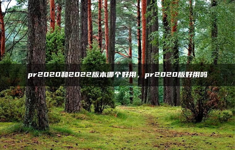 pr2020和2022版本哪个好用，pr2020版好用吗