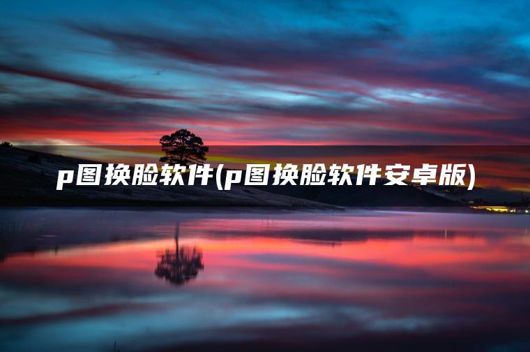 p图换脸软件(p图换脸软件安卓版)