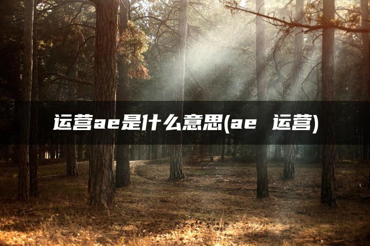 运营ae是什么意思(ae 运营)