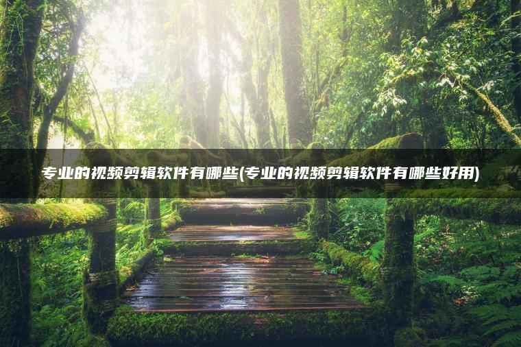 专业的视频剪辑软件有哪些(专业的视频剪辑软件有哪些好用)