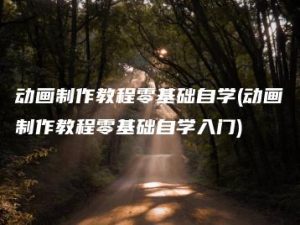 动画制作教程零基础自学(动画制作教程零基础自学入门) | ae插件合集