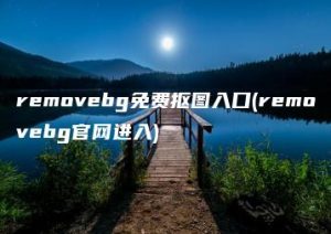 removebg免费抠图入口(removebg官网进入) | ae插件合集