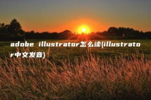 adobe illustrator怎么读(illustrator中文发音) | ae插件合集