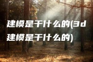 建模是干什么的(3d建模是干什么的) | ae插件合集