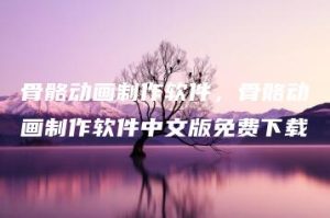 骨骼动画制作软件，骨骼动画制作软件中文版免费下载 | ae插件合集