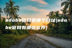 adobe官网是哪个网址(adobe官网有哪些软件) | ae插件合集