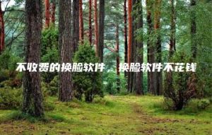 不收费的换脸软件，换脸软件不花钱 | ae插件合集