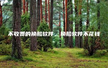 不收费的换脸软件，换脸软件不花钱 | ae插件合集