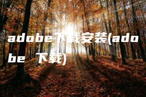 adobe下载安装(adobe 下载) | ae插件合集