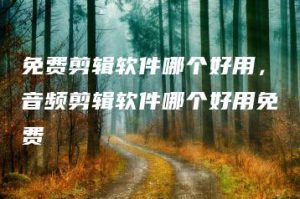 免费剪辑软件哪个好用，音频剪辑软件哪个好用免费 | ae插件合集