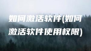 如何激活软件(如何激活软件使用权限) | ae插件合集