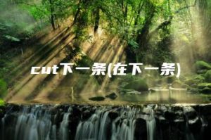 cut下一条(在下一条) | ae插件合集