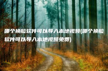 哪个换脸软件可以导入本地视频(哪个换脸软件可以导入本地视频免费) | ae插件合集