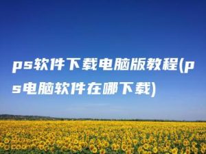 ps软件下载电脑版教程(ps电脑软件在哪下载) | ae插件合集