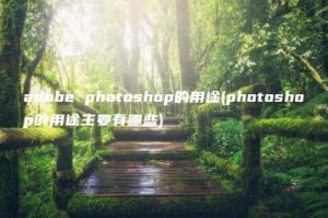 adobe photoshop的用途(photoshop的用途主要有哪些) | ae插件合集