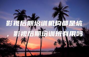 影视后期培训机构都是坑，影视后期培训班有用吗 | ae插件合集
