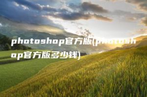 photoshop官方版(photoshop官方版多少钱) | ae插件合集