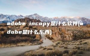 adobe incopy是什么软件(adobe是什么东西) | ae插件合集