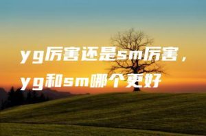 yg厉害还是sm厉害，yg和sm哪个更好 | ae插件合集