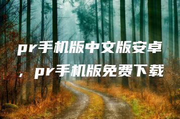 pr手机版中文版安卓，pr手机版免费下载 | ae插件合集