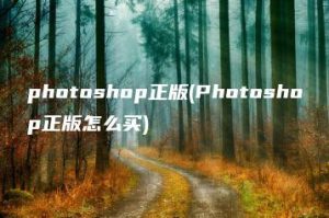 photoshop正版(Photoshop正版怎么买) | ae插件合集