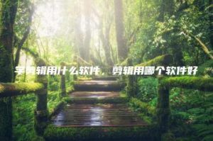 学剪辑用什么软件，剪辑用哪个软件好 | ae插件合集