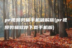 pr视频剪辑手机破解版(pr视频剪辑软件下载手机版) | ae插件合集