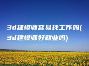 3d建模师容易找工作吗(3d建模师好就业吗) | ae插件合集