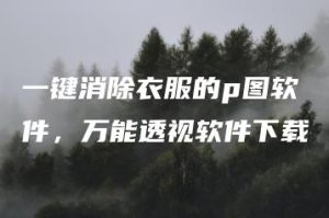 一键消除衣服的p图软件，万能透视软件下载 | ae插件合集