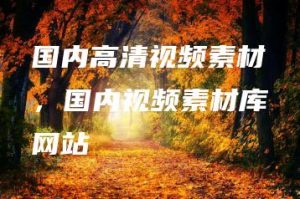 国内高清视频素材，国内视频素材库网站 | ae插件合集