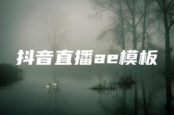 抖音直播ae模板 | ae插件合集